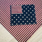 Limited Edition Handmade America 250 Celebration Bandana | Reverse Flag Design Rustic Patriotic Neck & Hair Scarf with Optional Crystal Sparkle